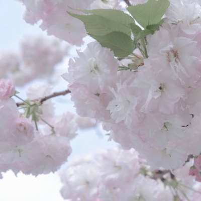 错那福瑞交流群